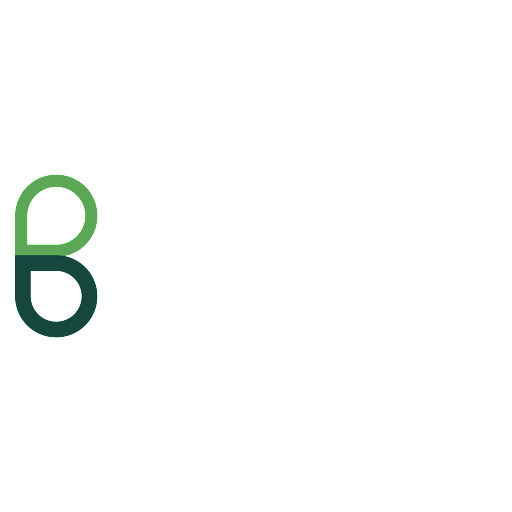 Brisks - Visual