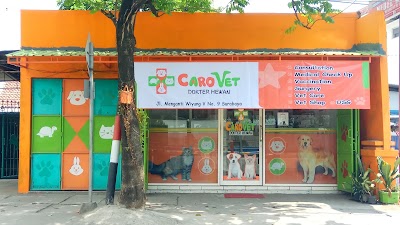 Photos of CaroVet