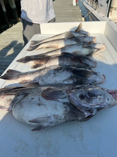 Salty Hooker Charters, LLC - Thumbnail