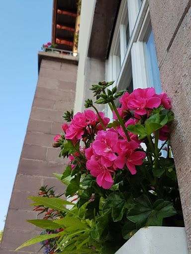 Ortsverwaltung Eutingen - Thumbnail