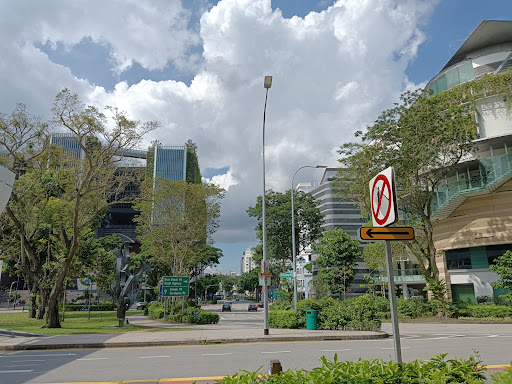 SMU School of Economics