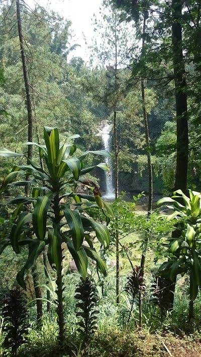 Photos of Air Terjun Kayu Kebek
