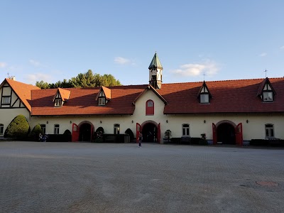 Budweiser Brewery Experience