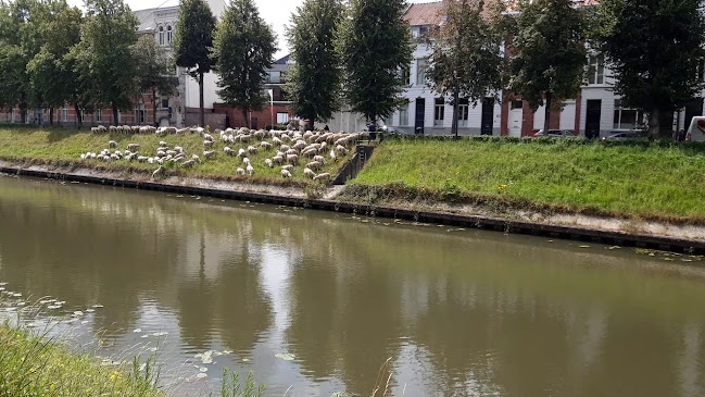 Coupure Rechts 228, 9000 Gent