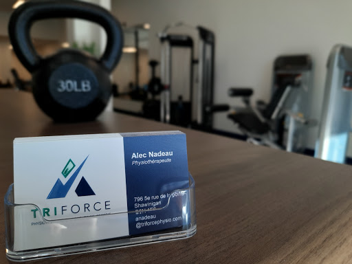 Triforce Physio - Visual