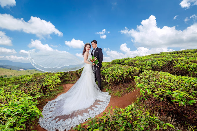 Mưa Wedding