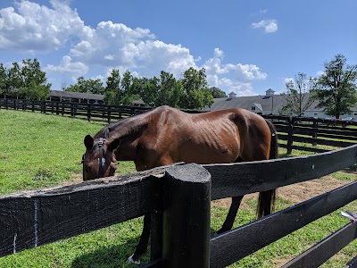 Kentucky Horsepark Campground