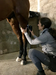 Photo n°10 de CELINE MAGOT - CHEVAL VITALITÉ & Cie à Junas (Praticien en médecine holistique)
