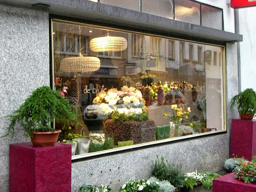 die blüte