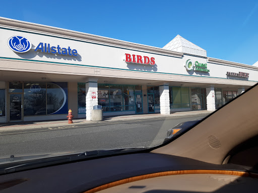 Route 18 Shopping Center - Thumbnail