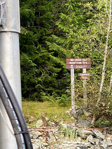 Big Cedar Tree Recreation Site Gallery - Canada