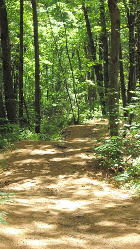 Boisé du Parc équestre