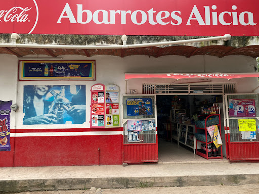 Tienda Abarrotes Alicia - Thumbnail