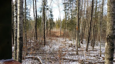 Hill River State Forest