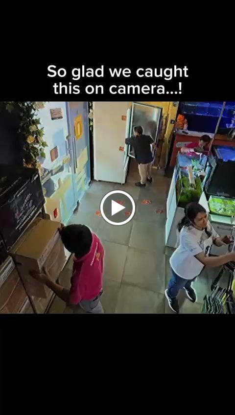 Pet Corner -Lulu Mall Fujairah Pet Shop - صورة 2