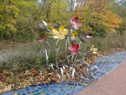 Women's Park Logo