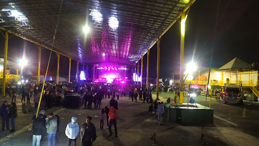 Mega Espectaculos Carma