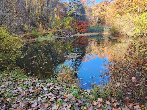 North Woods Nature Preserve - Thumbnail