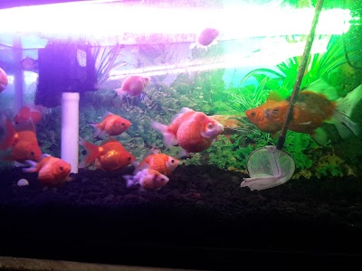 Photos of 58 Aquarium