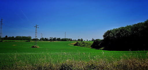 Sentiero lungo fiume Idice, zona Castenaso (BO)