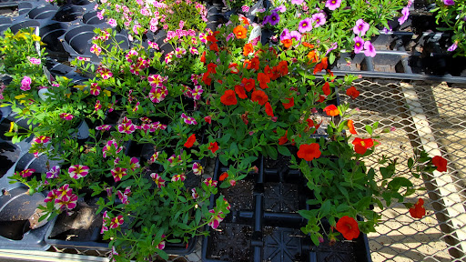 Brenckle's Farms & Greenhouses - Thumbnail