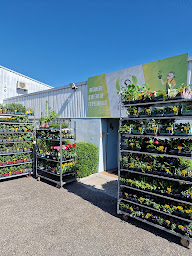 Photo n°6 de Jardinerie Tchoukar à Eybens (Service de plantes d'intérieur)