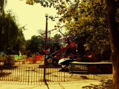Photos of Amusement Park