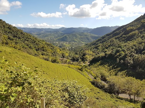 Parque De pelota Del Bo. Rabanal Sect. Fatima Cidra, Author: Virgilio Baez