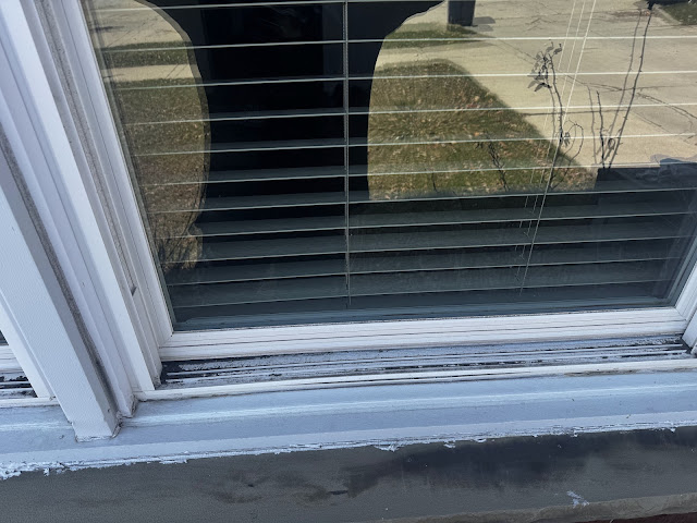 Photo of H.T.G Window Cleaning in  - Best Pressure Washing Service near me.