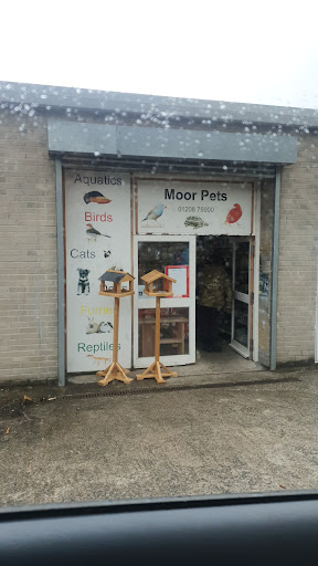 MoorPets - Visual