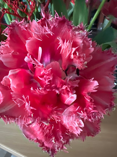 Blumen & Blickfang - Thumbnail