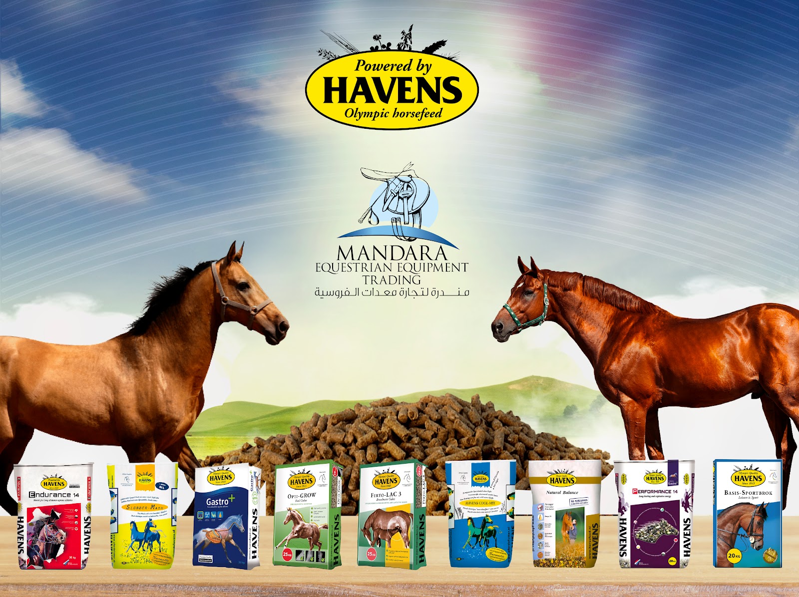 Mandara Equestrian Shop Branch - 2 - صورة 2