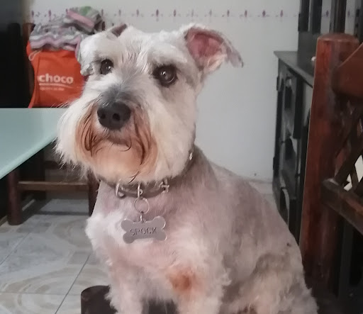 Clínica veterinaria aalak - Thumbnail