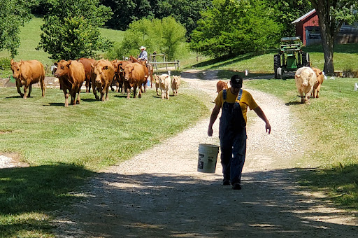Kamaroo Farms - Thumbnail