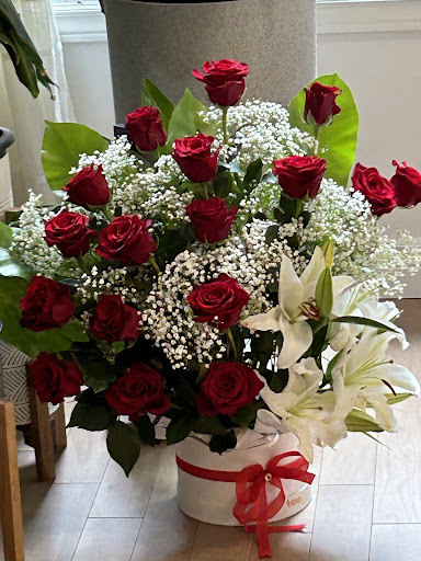 Freesia florist - Visual
