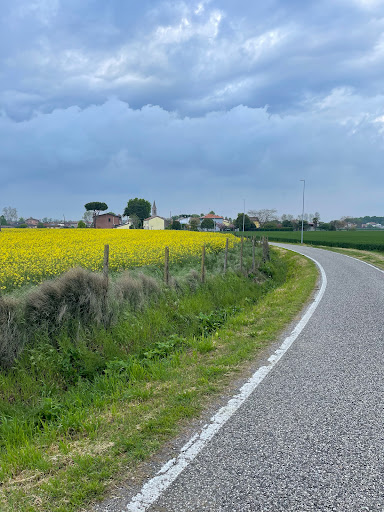 Francolino - Visual