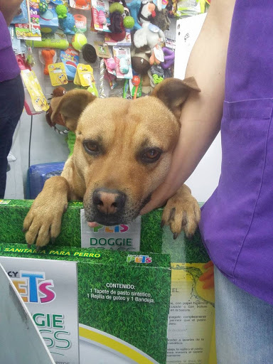 VETERINARIA EL CASTILLO