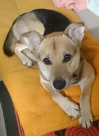 （株）にわとり家