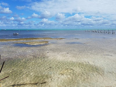 Photos of La Perla Del Caribe
