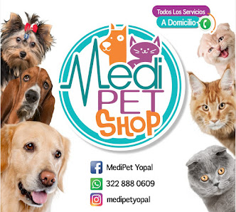 Fotografía de MediPETShop Gato
