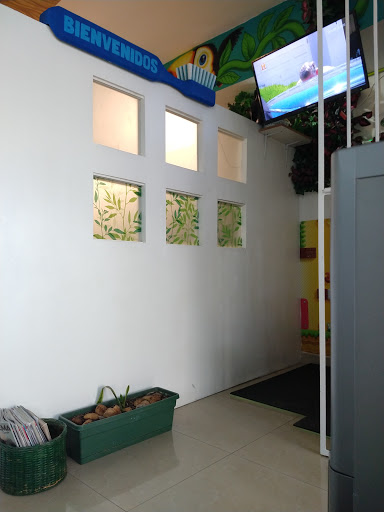 Dental Natura (Av. Tulum) - Thumbnail