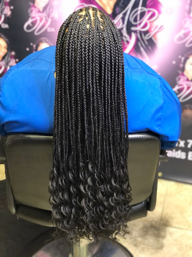 Braids By Vida - Visual