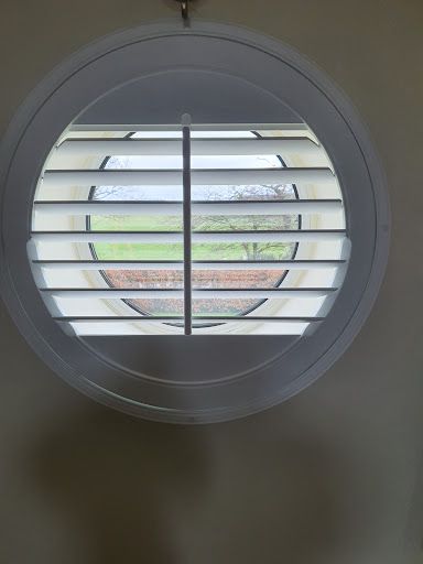 Blind Options - Visual