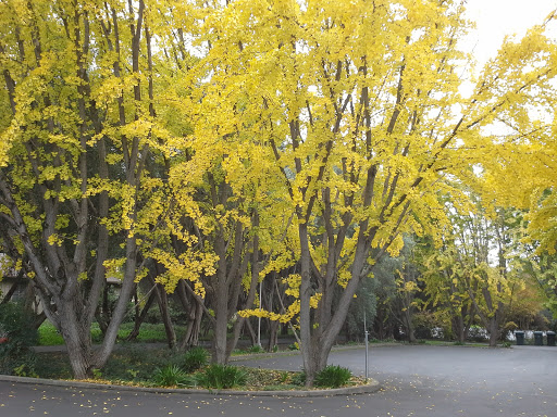 Vedanta Society of Sacramento - Thumbnail