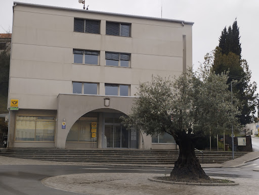 Društvo Oljkarjev Brda Dobrovo Logo