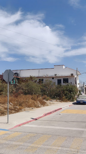 Carnada san lucas