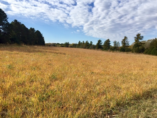 Prairie Pines Nature Preserve Gallery - United States