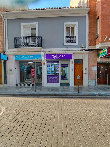 Valora Servicios Inmobiliarios