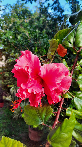 Parque "Tampache" - Thumbnail