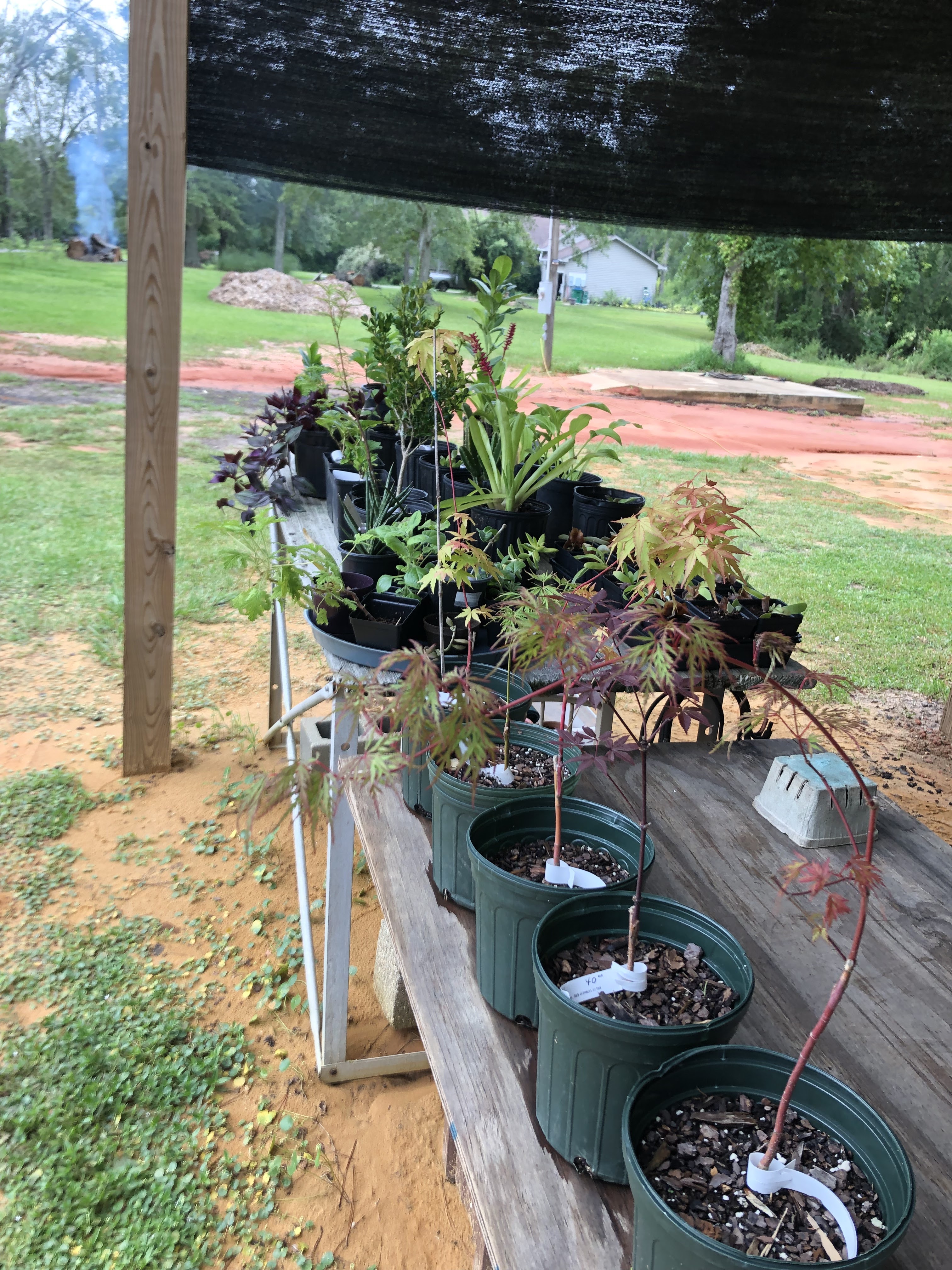 Rocking Ts Nursery